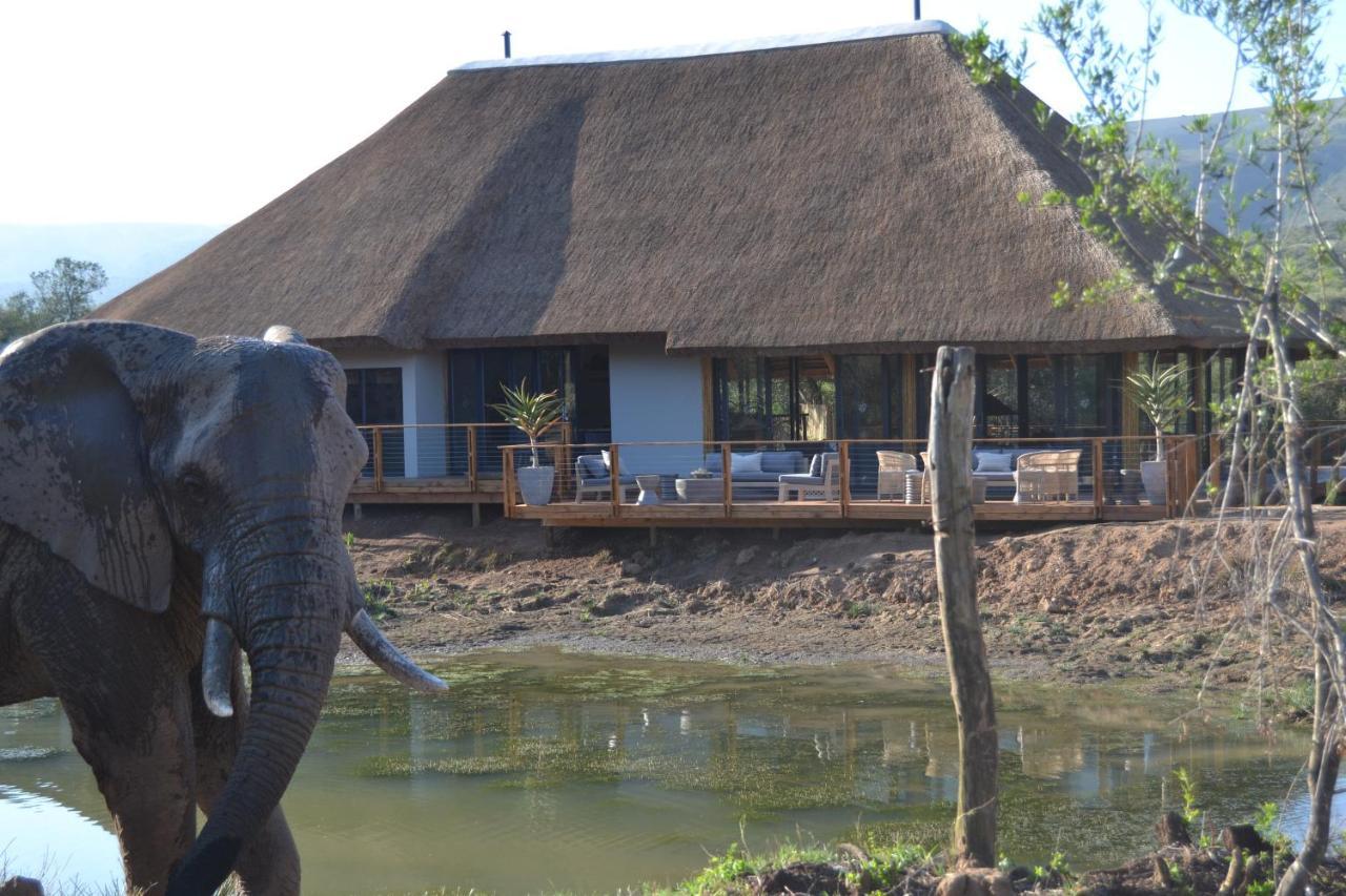 Barefoot Addo Elephant Lodge المظهر الخارجي الصورة